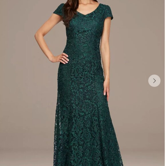 NWT - ALEX EVENINGS : SIZE 10 : Long Corded Lace V-Neck Fit & Flare Dress - Picture 1 of 5